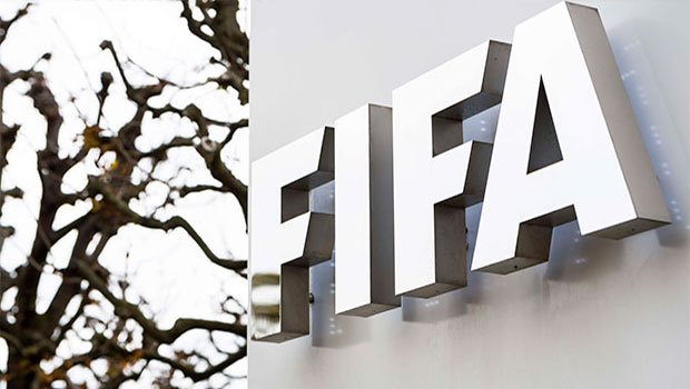 FIFA : deux nouveaux prix dédiés au football féminin