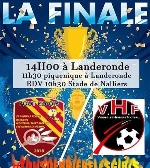 Sud Vendée : les filles de Foot Espoir 85 au top Sud Vendée : les filles de Foot Espoir 85 au top