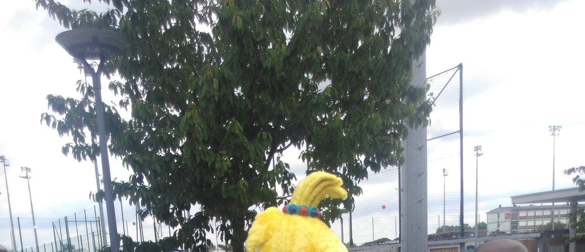 Coupe du monde de football féminine : le costume de la mascotte retrouvé après son vol au Parc des Princes Coupe du monde de football féminine : le costume de la mascotte retrouvé après son vol au Parc des Princes